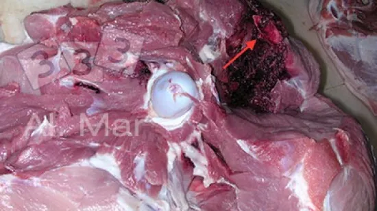 Tydzień 02-wrz-2025