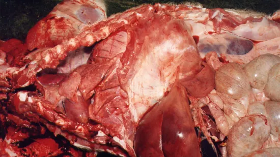 Tydzień 16-wrz-2025