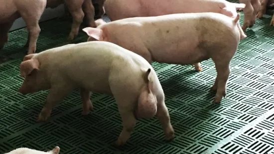 Tydzień 07-paź-2025