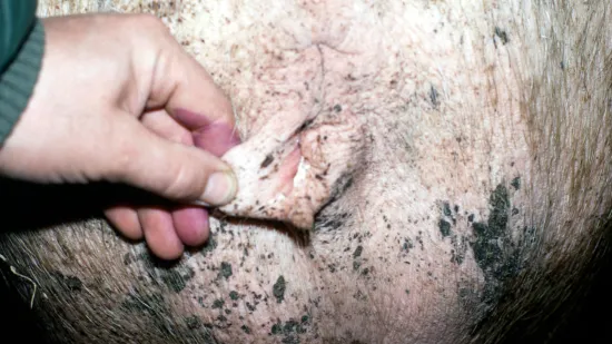 Tydzień 21-paź-2025