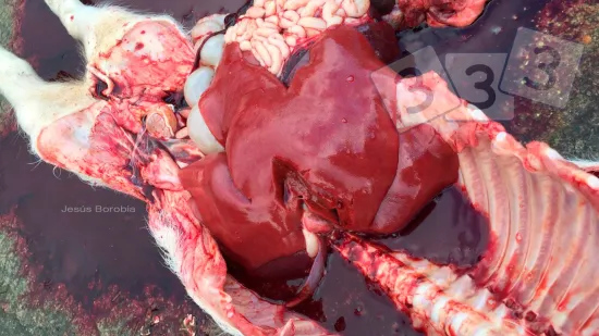 Tydzień 25-lis-2025