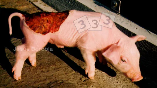 Tydzień 28-paź-2025