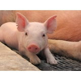 Oscar de Enrique Muñoz