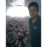 David Contreras Tinoco